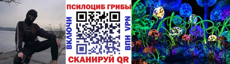 кракен ссылки Сосновый Бор Псилоцибиновые грибы Psilocybine cubensis